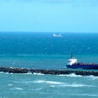 L1000209