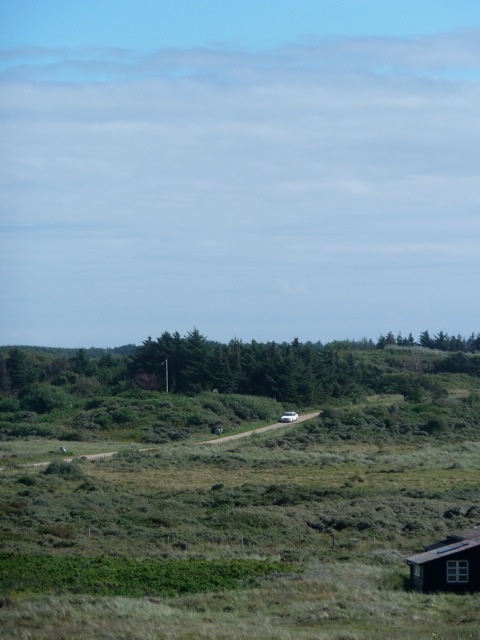 Loading Image